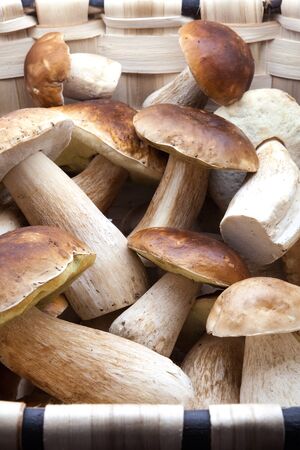basket with newly fixed eatable mushroomsの写真素材