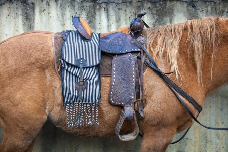 saddle in a brown horseの写真素材