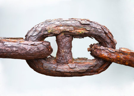 link of chain of rusty iron