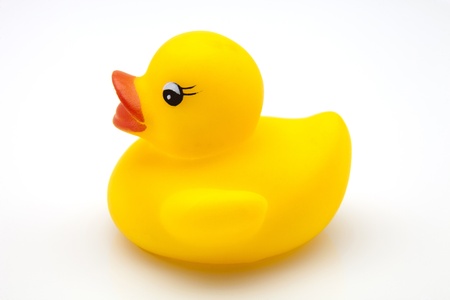 yellow gum duck on white fundの写真素材