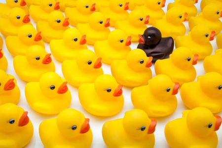 yellow ducks and black in the opposite directionの写真素材
