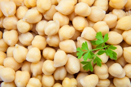 chick-peas newly cooked with parsleyの写真素材