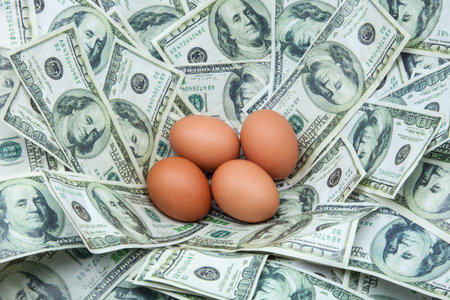 Egg nest of hundred dollar bills の写真素材