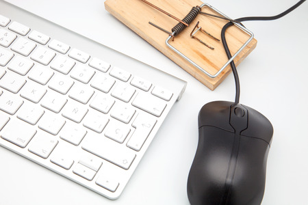 office elements in white fundの写真素材