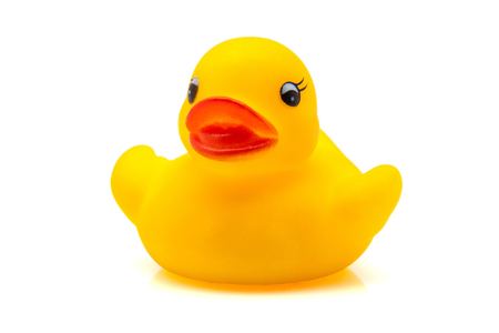 yellow gum duck on white fundの写真素材