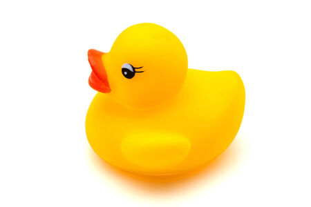 yellow gum duck on white fundの写真素材