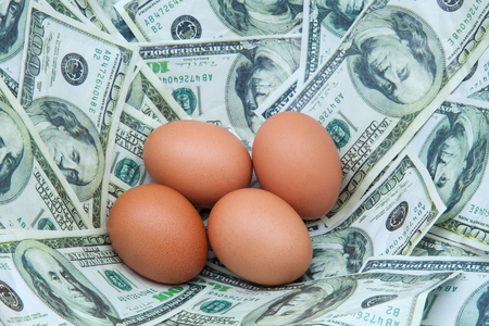 four eggs of hen on a nest of ticketsの写真素材