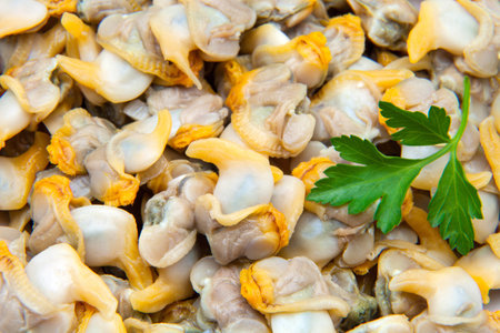 lot of clams for tradeの写真素材