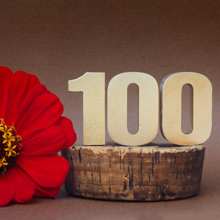 Golden volumetric digit 100 and a red gerbera flower on a brown background. place for text.