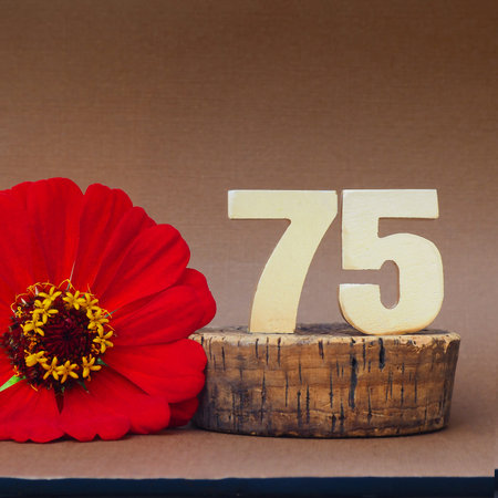 Gold volumetric number 75 and red gerbera flower on a brown background. space for text.