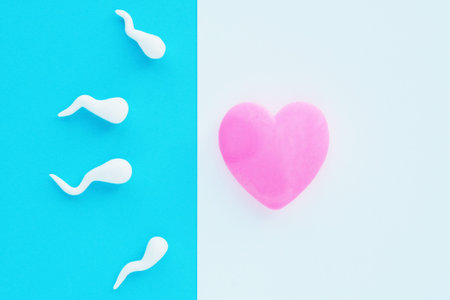 A bright pink heart on a white background and white spermatozoids on a blue background. The concept...