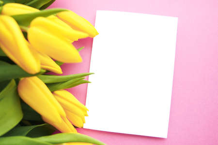Mock up with a postcard and yellow tulips on a pink background.の写真素材