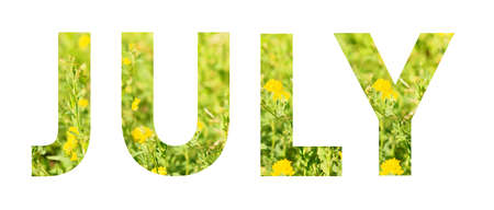 Lettering JULY in botanical alphabet from flowers and herbs.の写真素材