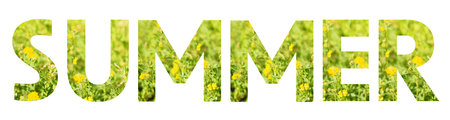 Lettering summer in botanical alphabet from flowers and herbs.