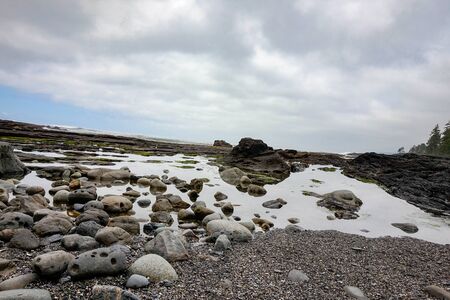 Botanical Beach Provincial Park, Port Renfrew, Vancouver Island, BC, Canadaの写真素材