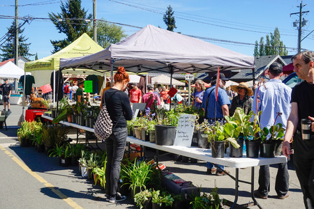 Comox Valley~Vancouver Island,BC, Canada, May 20 2017 Village Market Days on Dunsmuir Avenue in Cumberland~Vancouver Island,BC, Canadaのeditorial素材