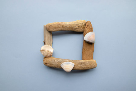 Driftwood frame isolated on a blue background with sea shells. Rustic driftwood square frame with...