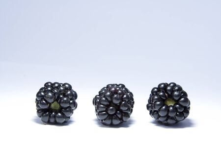 Three blackberries lying in a line against a white blue background.の写真素材