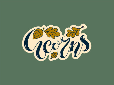 Vector of Vector illustration of acorns - ID:1-135118881 - Royalty Free ...