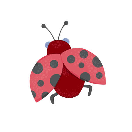 Hand drawn flat vector illustration of a ladybug. Cute insect can be used as a background, sticker, postcard, for web design, catalog, game for children, print, in educationのイラスト素材