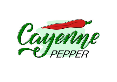 Vector illustration of cayenne pepper lettering for packages, product design, banners, stickers, spice shop price list and decoration. Handwritten phrase with a vegetable for web or printのイラスト素材