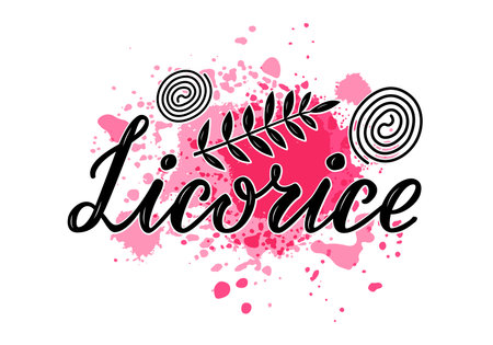 Vector illustration of licorice lettering for packages, product design, banner, spice shop, pharmacy price lists. Handwritten word with leaves for web or printのイラスト素材