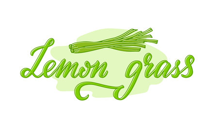 Vector illustration of lemon grass lettering for packages, product design, banner, spice shop, pharmacy price lists. Handwritten phrase for web or printのイラスト素材