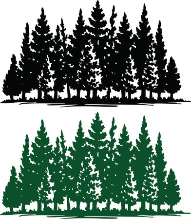 silhouette of eco plants, Christmas tree forestの写真素材