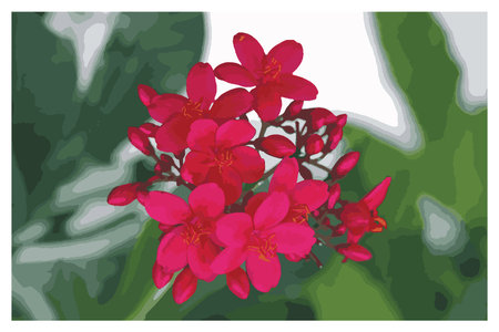 Postcard - small red flowers on a green background in a white frame. Vector tracing drawing.のイラスト素材