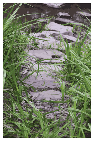 Postcard - stone path to the stream between the grass, vector drawing.の写真素材