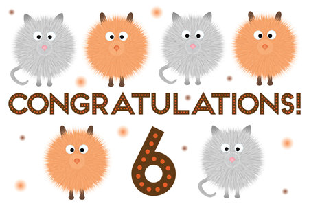 Postcard - congratulations! 6th anniversary. With fluffy cartoon dogs and cats on a white background with a number.の写真素材
