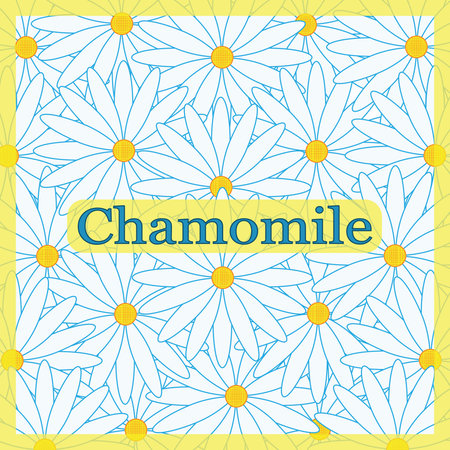 Floral card with the inscription chamomile. With a yellow frame.のイラスト素材
