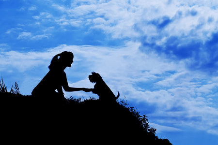 silhouette of siting girl train a dogの写真素材