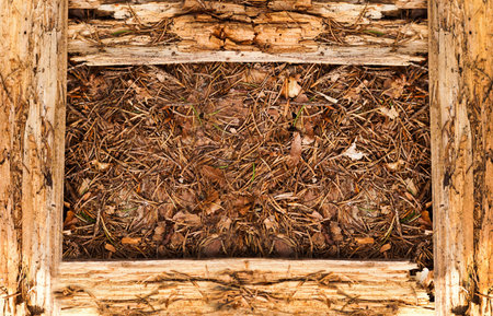 Vintage wooden texture on leaves Background  