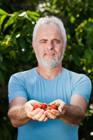 hands of smiling senior man holding strawberryの写真素材
