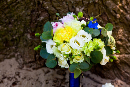 wedding accessoriesの写真素材
