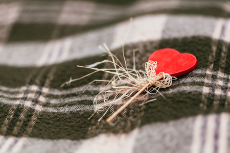 Heart on stick with copy-space against blanket backgroundの写真素材