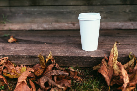 white paper coffe cup with brutal autumn leaves with place for signの写真素材