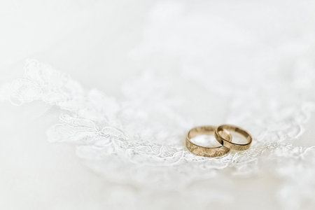 Wedding rings on wedding dress, close-upの写真素材