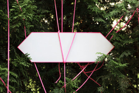 Empty arrow sign in the middle of fir branchesの写真素材