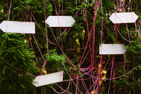 Empty arrow signs in the middle of fir branchesの写真素材