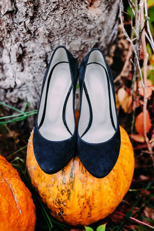 Blue bridal shoes standing on an autumn pumpkin. Wedding decoration. Outdoors, top viewの写真素材