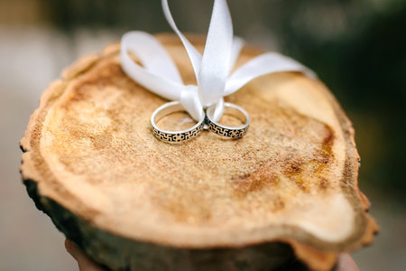 Wedding silver rings on wood cut which bandaged with white ribbon. Close-upの写真素材