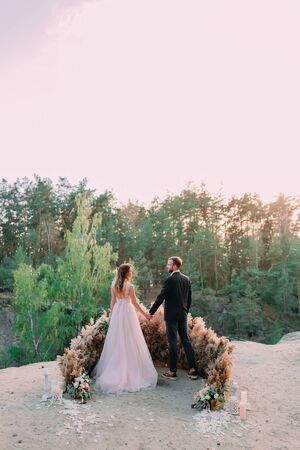 Newlyweds holding hands at the edge of the canyon and couple looking each other with tenderness and love. Back view portrait. Outdoors weddingの写真素材
