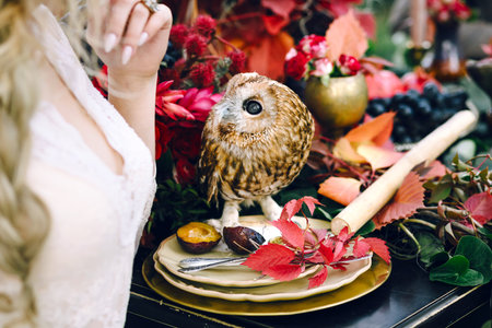 Owl on the festive wedding table with red autumn leaves. Wedding decoration. Artworkの写真素材