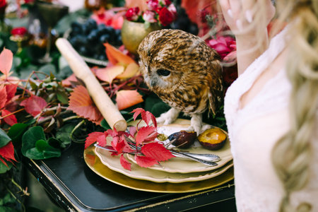 Owl on the festive wedding table with red autumn leaves. Wedding decoration. Artworkの写真素材