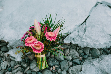 Wedding bouquet from pink dahlias on chunk of ice, Iceland. Stones background. Copy spaceの写真素材