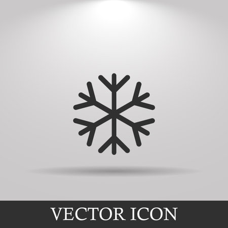 Snowflake flat icon. Vector illustration EPS 10のイラスト素材