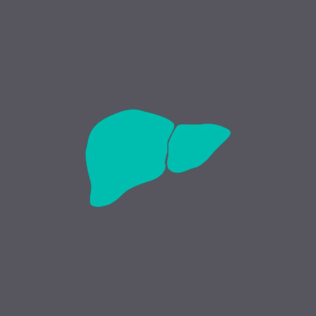 Vector flat liver icon. Flat design style eps 10のイラスト素材