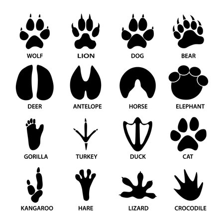 Black footprints shapes of animals. Elephant, leopard, reptile and tiger.のイラスト素材